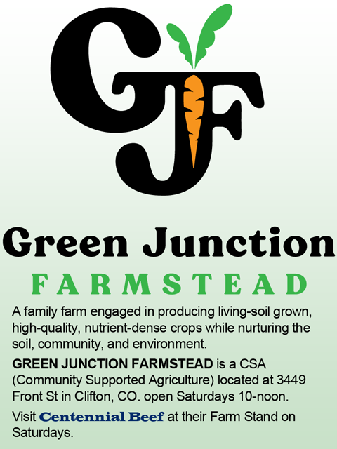 Colorado raised grass-fed beef-21